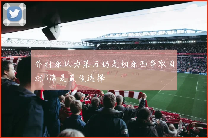 乔科尔认为莱万仍是切尔西争取目标B席是最佳选择